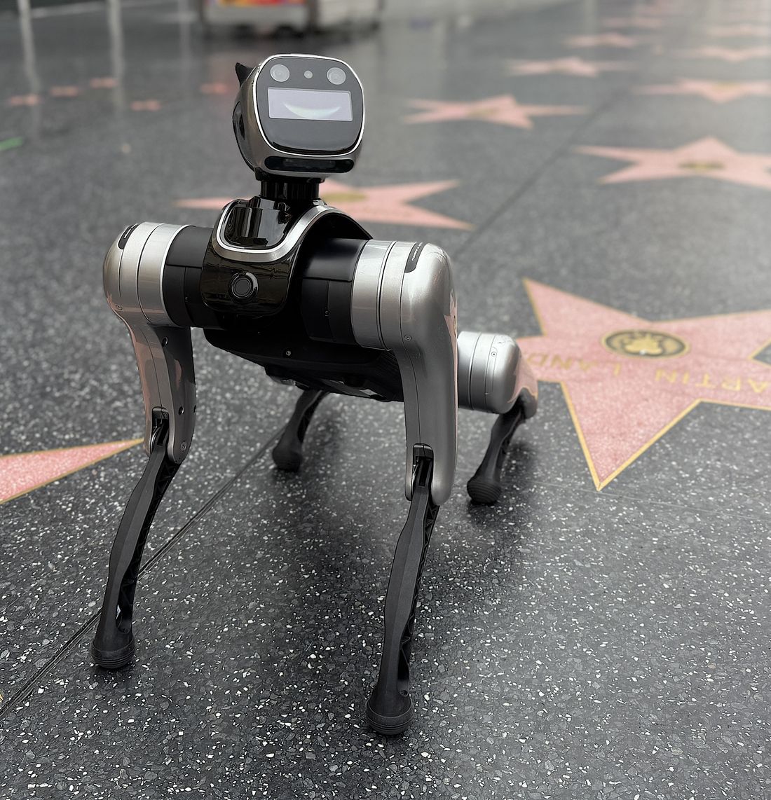 RoboDog robot dog posing on the Hollywood Walk of Fame in Los Angeles