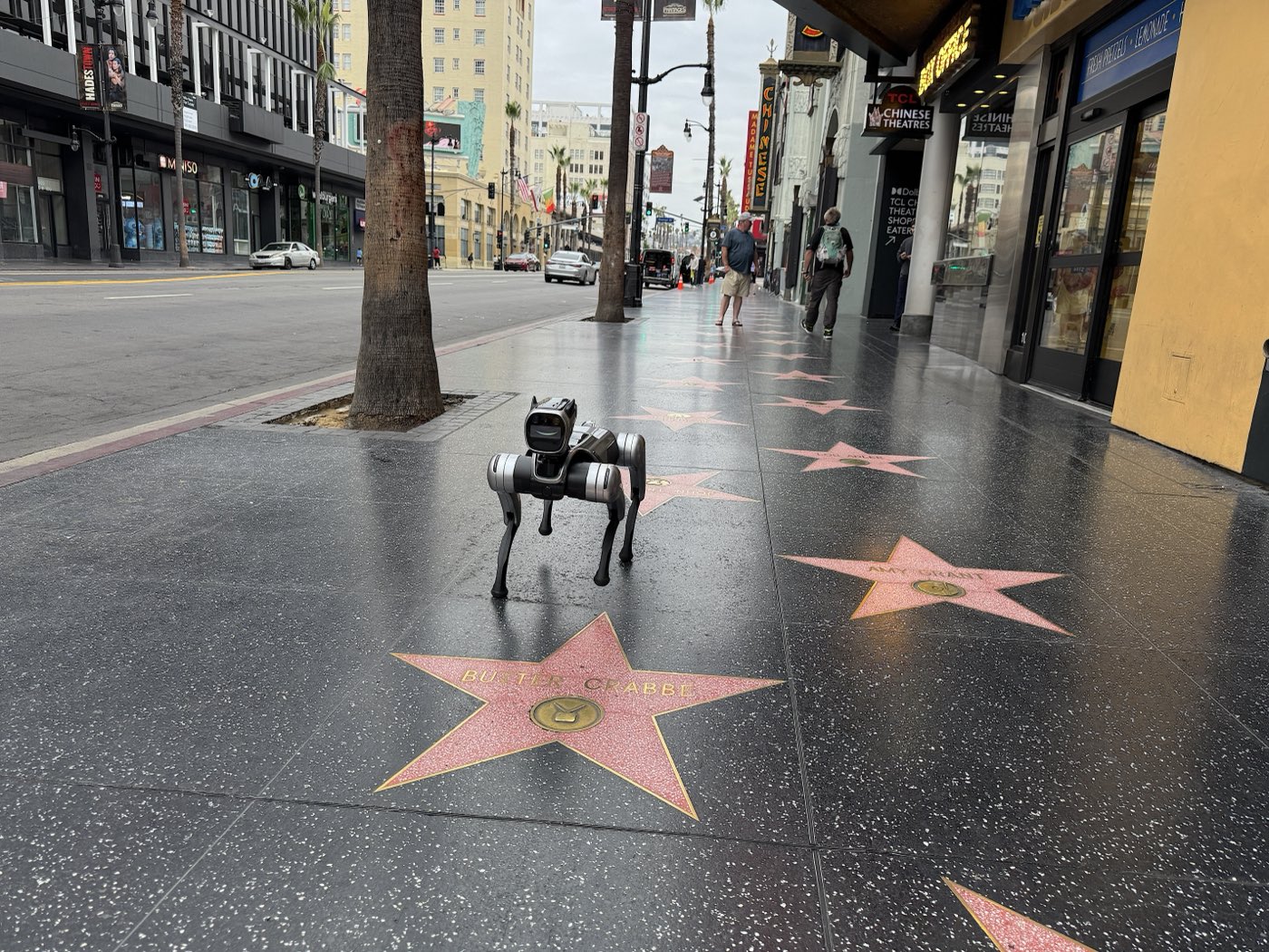 RoboDog robot dog walking along the terrazzo stars of the Hollywood Walk of Fame